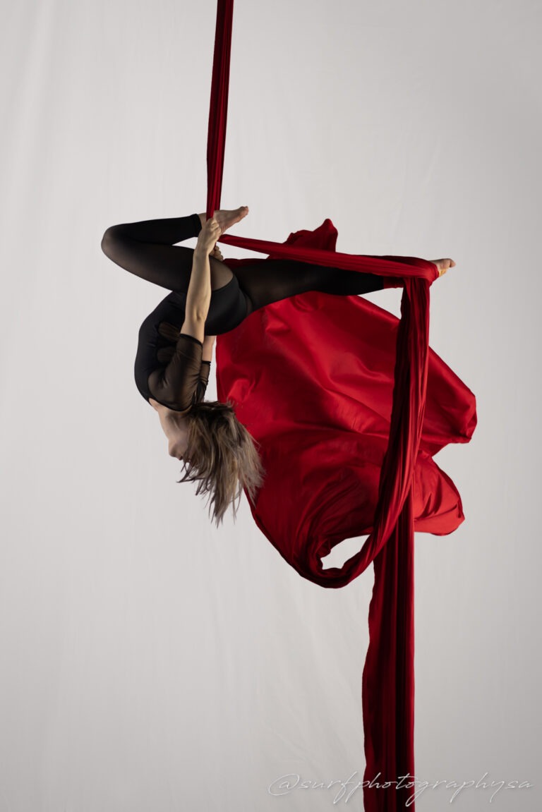 Aerial Silks